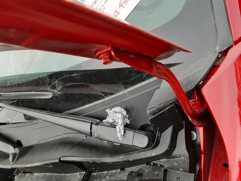 SCHARNIER MOTOREHAUBE LINKS Toyota YARIS (6) 2/20+