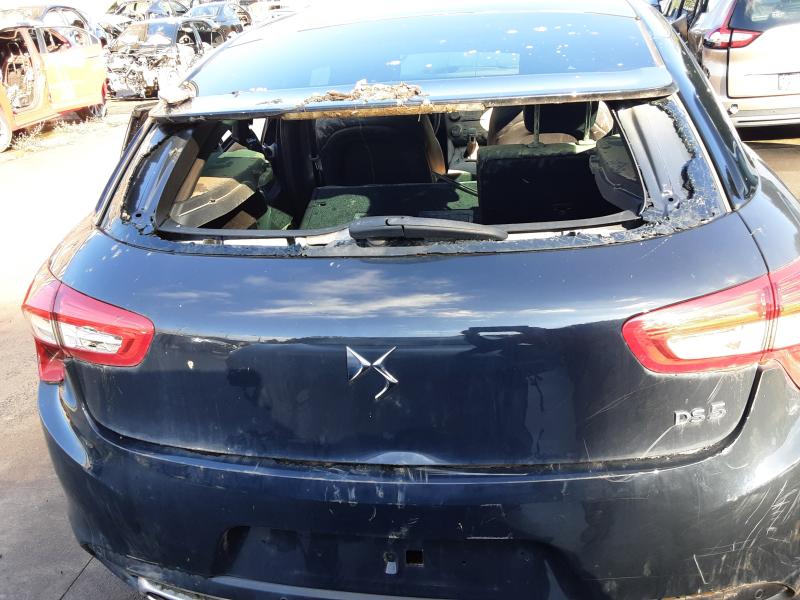 TAILGATE Ds DS5 6/15+