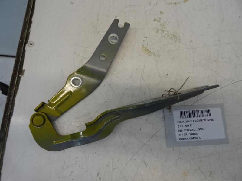 SCHARNIER MOTOREHAUBE LINKS Vw GOLF VII 1/17 - 2/20 FaceLift