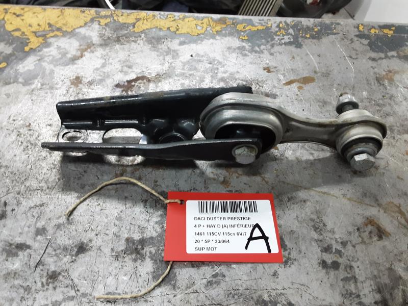 SUPPORT-MOTEUR Dacia DUSTER 1/18 - 24