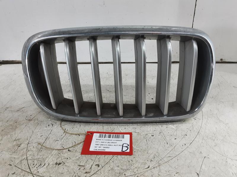 CALANDRE Bmw X5 F15 08/13 - 18