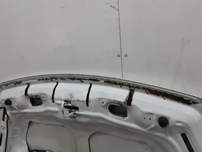 CAPOT Citroen BERLINGO 08 - 18