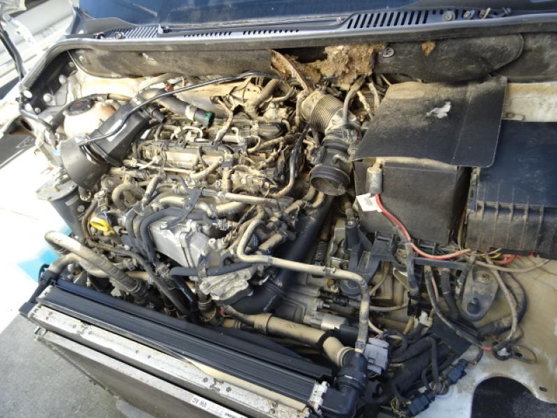 auto