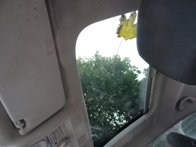 auto