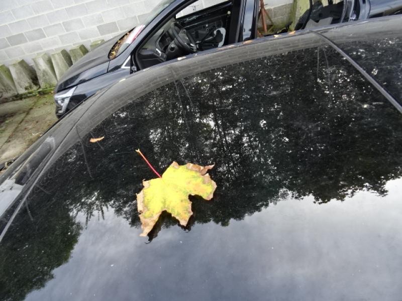 auto
