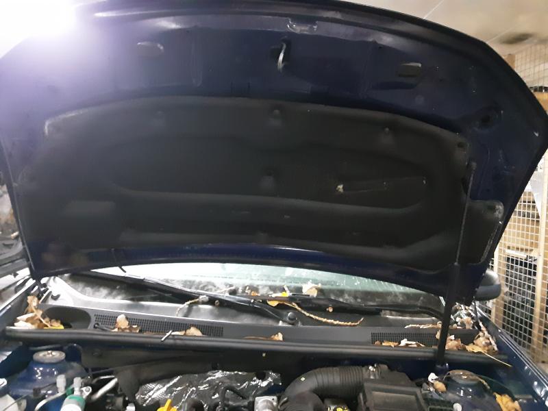 auto