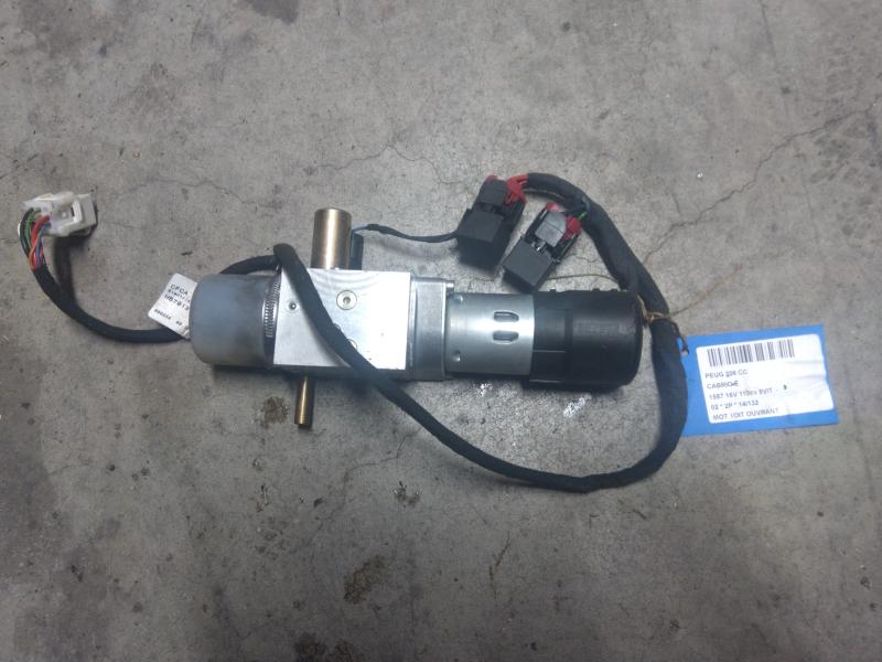 SCHIEBEDACH MOTOR Peugeot 206 - 2/09